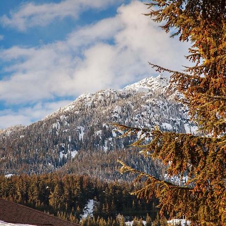 Updated Whistler Creek Studio With Parking Zewnętrze zdjęcie