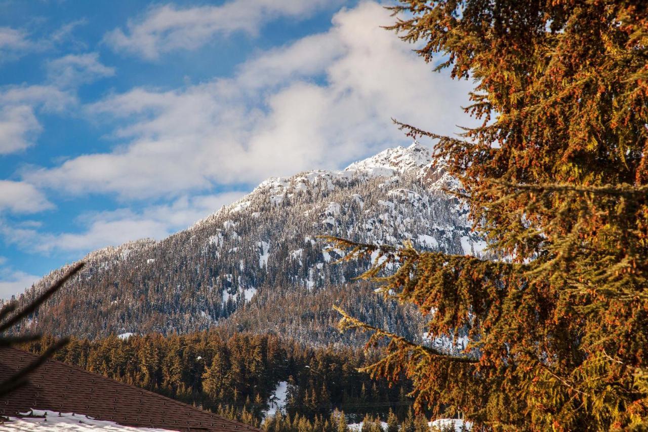 Updated Whistler Creek Studio With Parking Zewnętrze zdjęcie